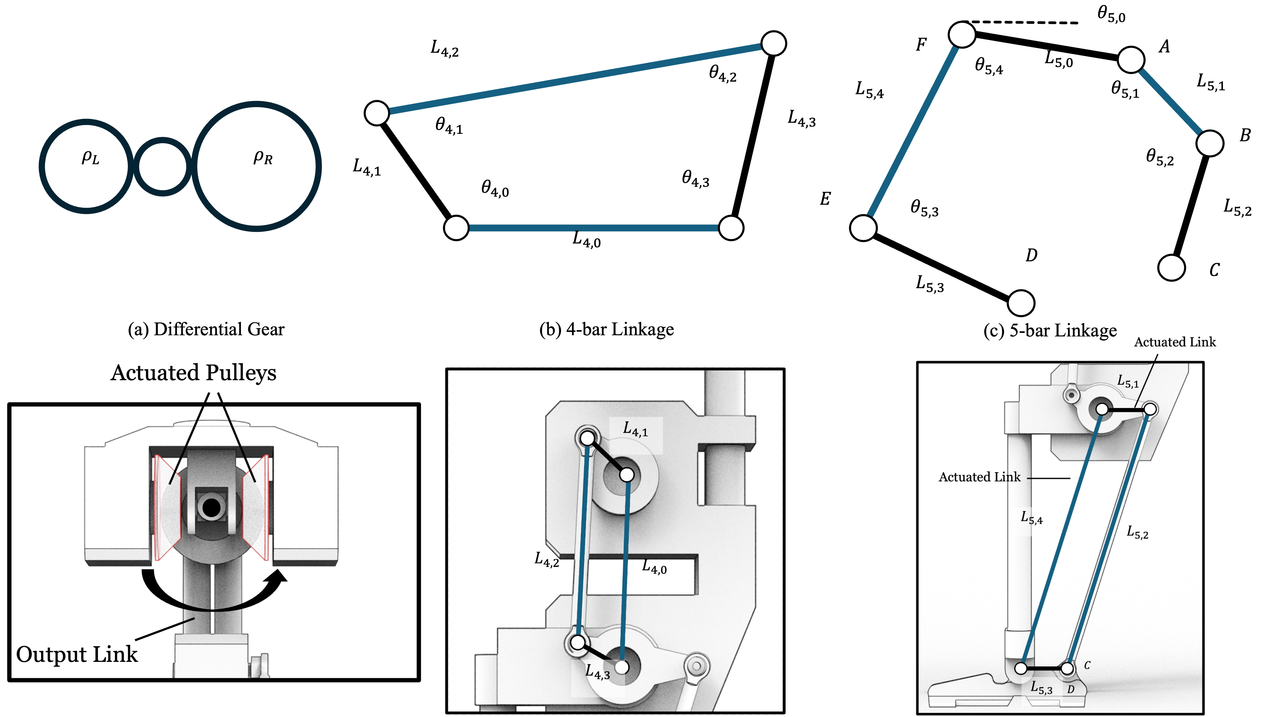 Parallel mechanisms on BRUCE and their MuJoCo models